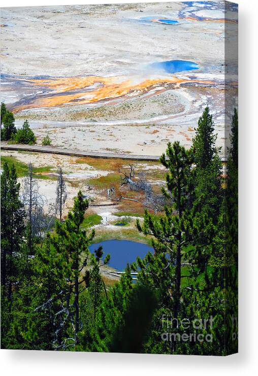 Yellowstone Canvas Print featuring the photograph Colors of Yellowstone by Ausra Huntington nee Paulauskaite