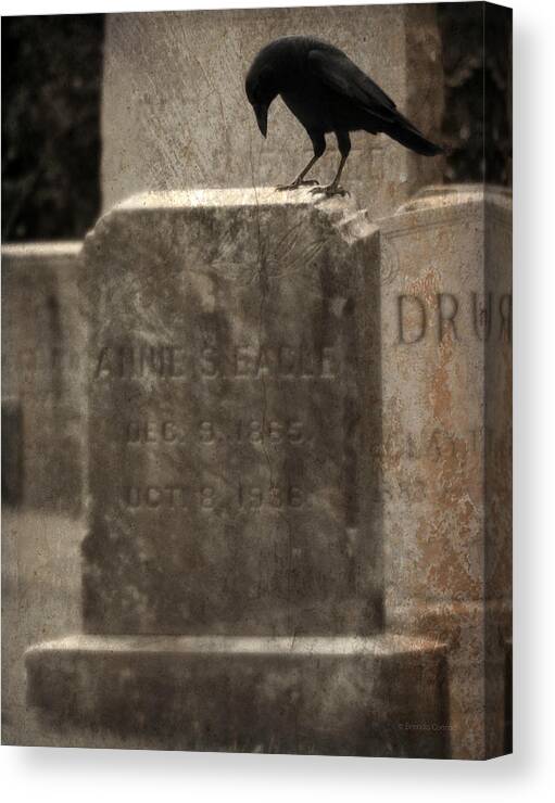 Crow Canvas Print featuring the photograph Contemplation by Dark Whimsy