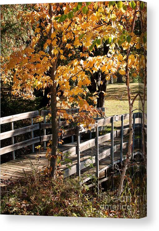 Fall Colors Canvas Print featuring the photograph Country Bridge by Gwen Gibson