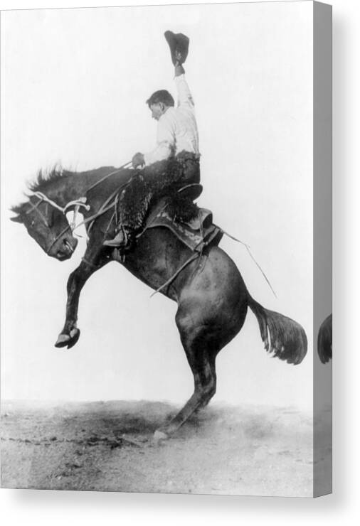Occupation Canvas Print featuring the photograph Cowboy Riding Bucking Bronco, 1911 by Science Source