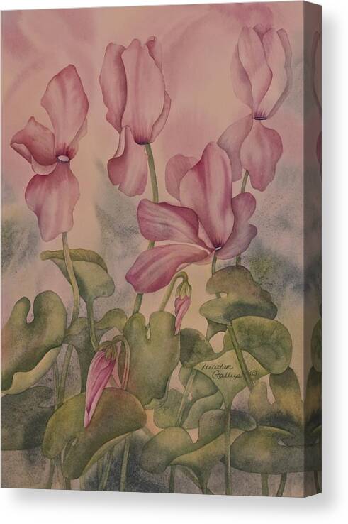 Cyclamen Canvas Print featuring the painting Cyclamen by Heather Gallup