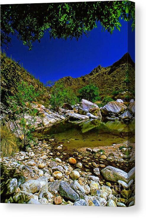Zzxy Canvas Print featuring the photograph Desert Stream Ver 1 by Larry Mulvehill