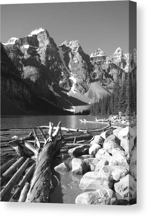 Driftwood Canvas Print featuring the photograph Driftwood - Black and White by Marcia Socolik