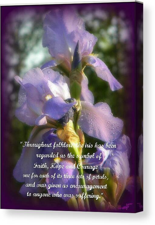 Nami Canvas Print featuring the photograph Encouraging Iris by Michelle Frizzell-Thompson
