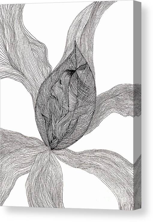 Woman Canvas Print featuring the drawing Essence of Women by Mukta Gupta
