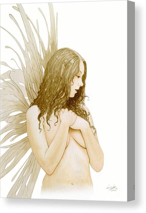Paintings Canvas Print featuring the painting Faerie portrait by John Silver