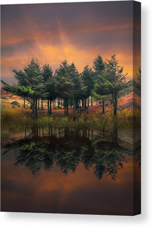 Appalachia Canvas Print featuring the photograph Fire by Debra and Dave Vanderlaan