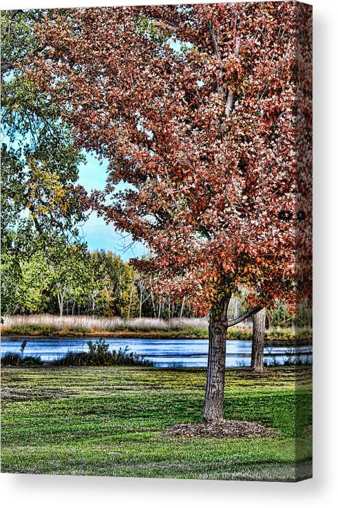 River Canvas Print featuring the photograph Flame by Sylvia Thornton