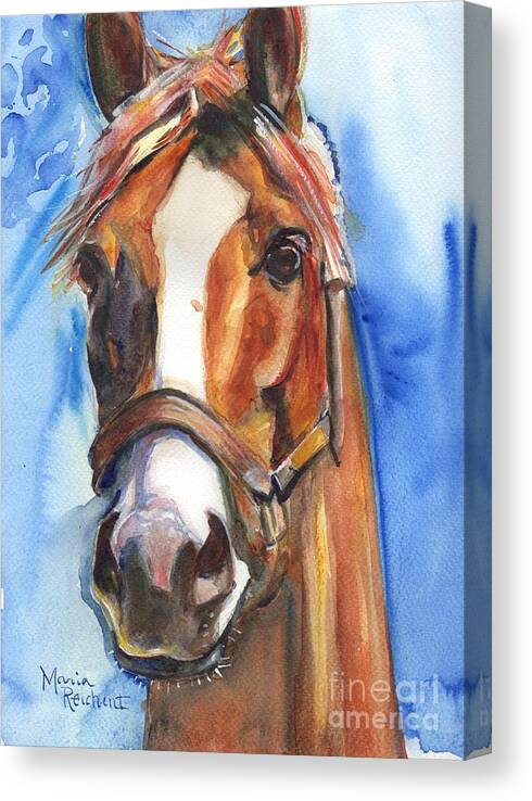 California Chrome Canvas Print featuring the painting Horse Painting of California Chrome Go Chrome by Maria Reichert