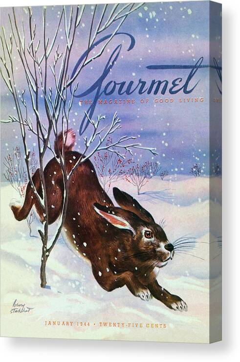 Illustration Canvas Print featuring the photograph Gourmet Cover Of A Rabbit On Snow by Henry Stahlhut