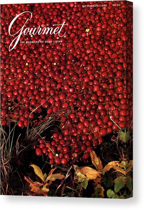 Food Canvas Print featuring the photograph Gourmet Magazine Cover Featuring Cranberries by Lans Christensen