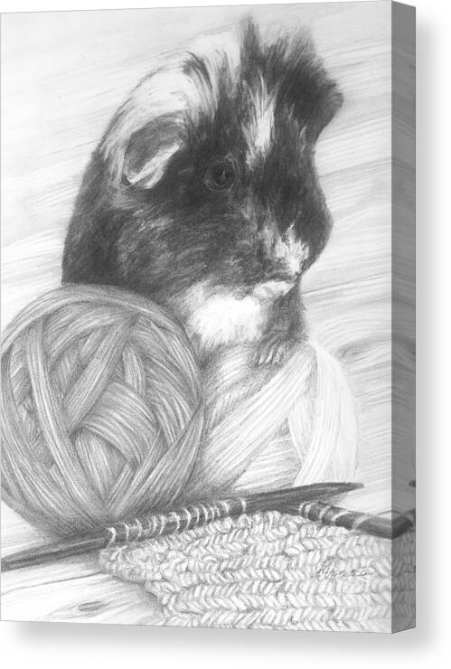 Pet Canvas Print featuring the drawing Grandma Paisley by Meagan Visser