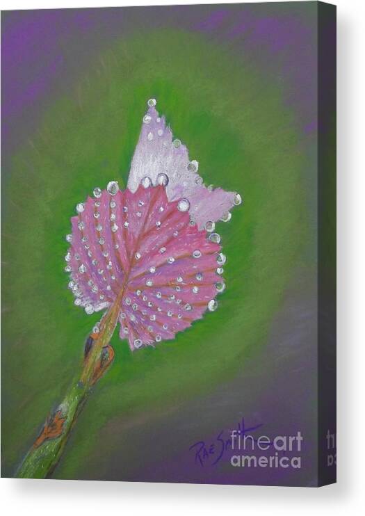 Plants Canvas Print featuring the pastel Grape Leaves by Rae Smith