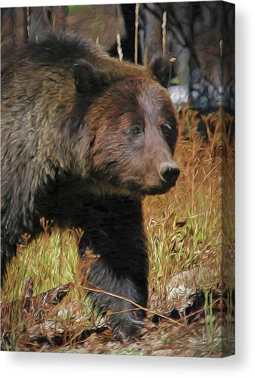 Bear Canvas Print featuring the photograph Grizzly Portrait by Clare VanderVeen