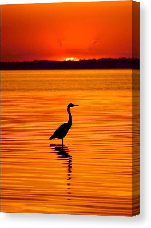  Canvas Print featuring the photograph Heron with Burnt Sienna Sunset by Billy Beck