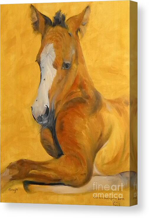 Foal Canvas Print featuring the painting horse - Gogh by Go Van Kampen
