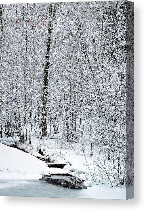 Wall Art Canvas Print featuring the photograph Ice Fairy by Gwen Gibson