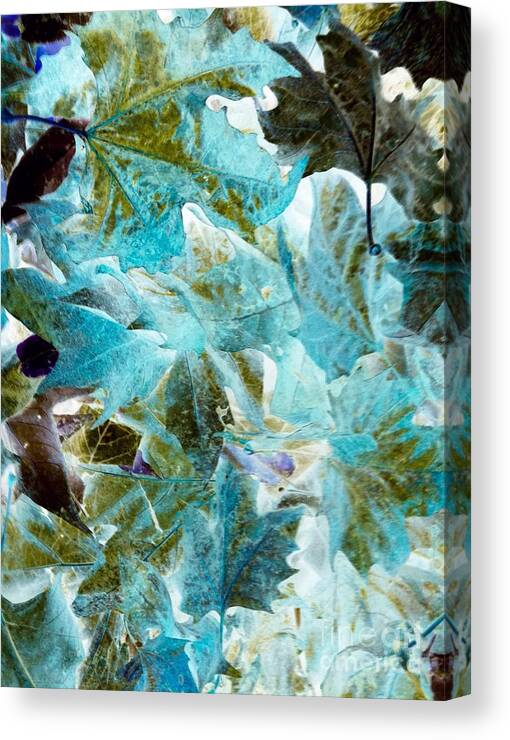 Photograph Landscape Inverted Fall Leaves. Photo Prints Canvas Print featuring the photograph Inverted Fall Leaves by Gayle Price Thomas