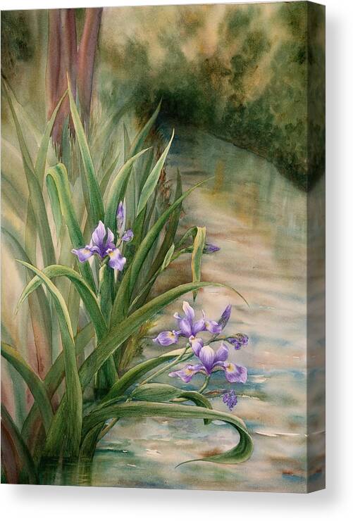 Watercolor Canvas Print featuring the painting Iris Over the Inlet by Johanna Axelrod