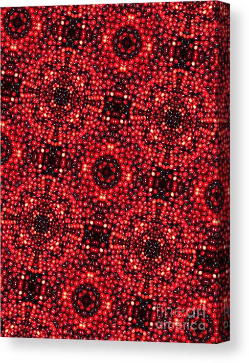 A Lot Canvas Print featuring the digital art Kaleidoscope Cranberries by Amy Cicconi