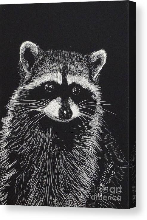  Canvas Print featuring the painting Little Bandit by Bob Williams