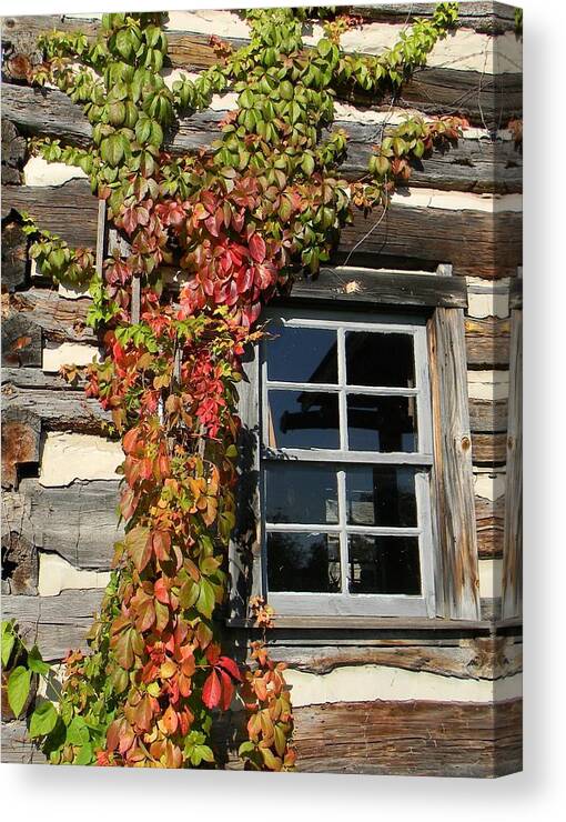 Log Cabin Canvas Print featuring the photograph Log Cabin Ivy by Jean Goodwin Brooks