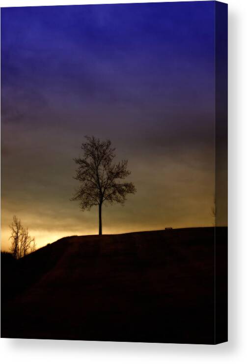 Single Tree Canvas Print featuring the photograph Lonely Tree on Hill by David Zumsteg
