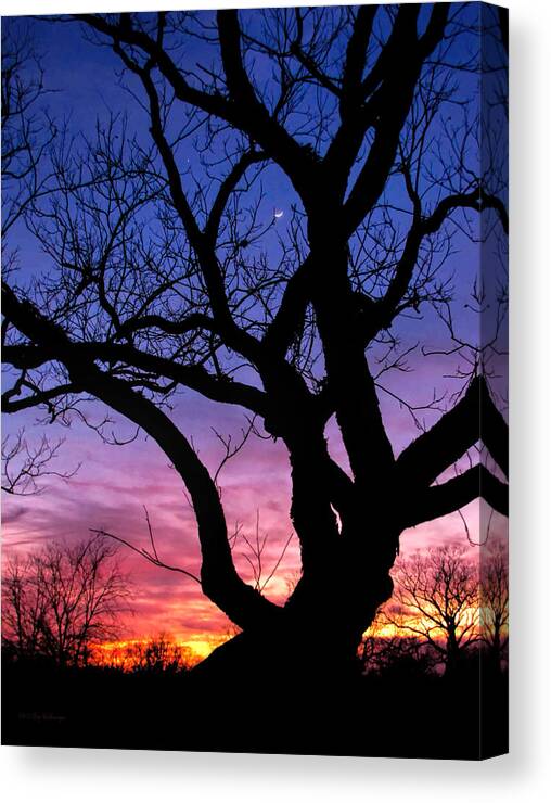 Moon Rise Canvas Print featuring the photograph Moon Rise by Lucy VanSwearingen