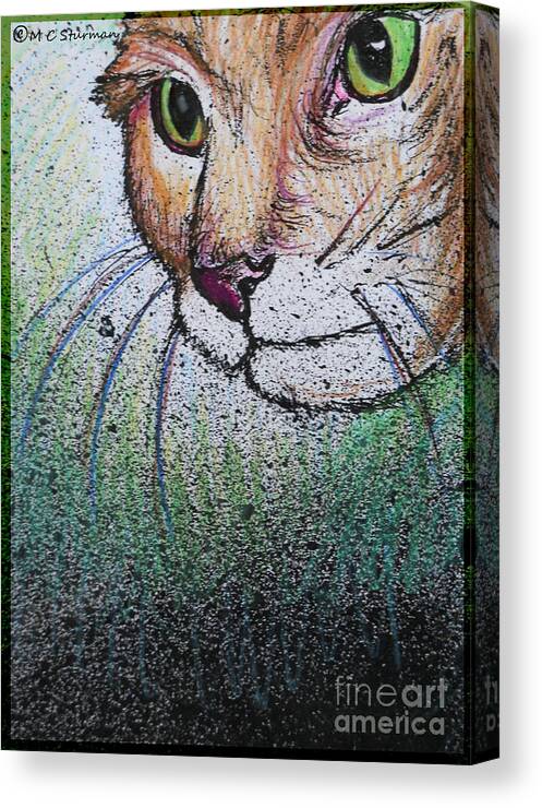 Cat Canvas Print featuring the mixed media Mouse Beware by M c Sturman