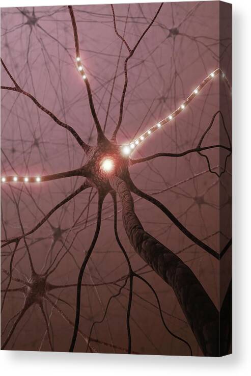 Color Image Canvas Print featuring the digital art Neural Network, Artwork by Ktsdesign