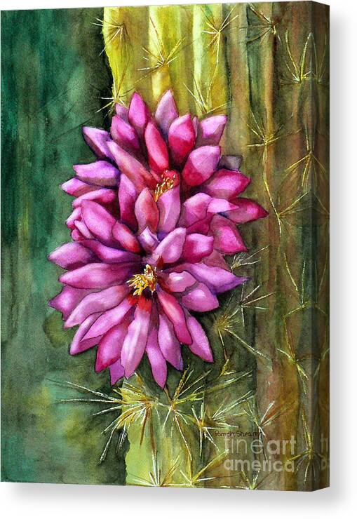 Cactus Canvas Print featuring the painting Glory of Morning by Pamela Shearer