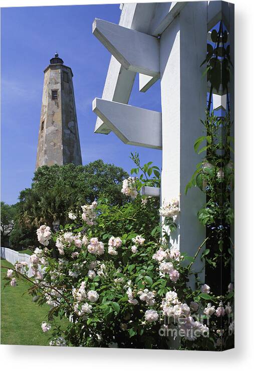 Bald Canvas Print featuring the photograph Old Baldy - FM000078 by Daniel Dempster