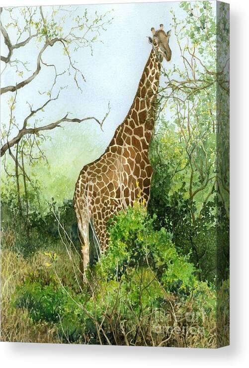 Giraffe Canvas Print featuring the painting One in the Bush by Barbara Jewell