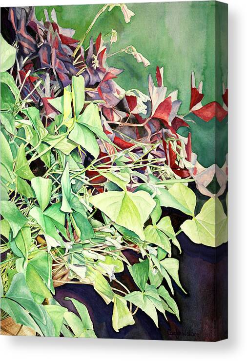 Foliage Canvas Print featuring the painting Oxalix Tangle by Carolyn Coffey Wallace