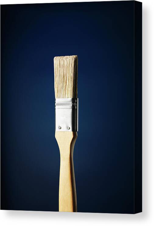 Netherlands Canvas Print featuring the photograph Paintbrush Against A Blue Background by Stuart Minzey