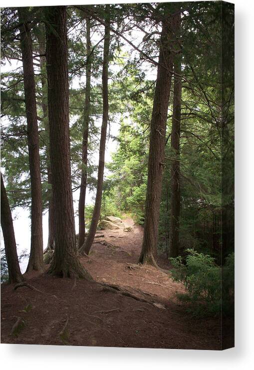 Canisbay Lake Canvas Print featuring the photograph Path To Canisbay Lake by Richard Andrews