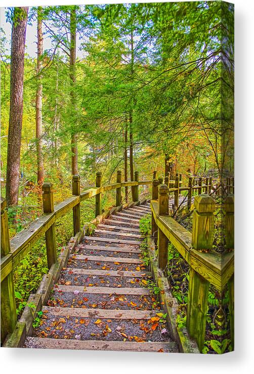 Swallow Falls State Park Canvas Print featuring the photograph Pathway to the Falls by SCB Captures