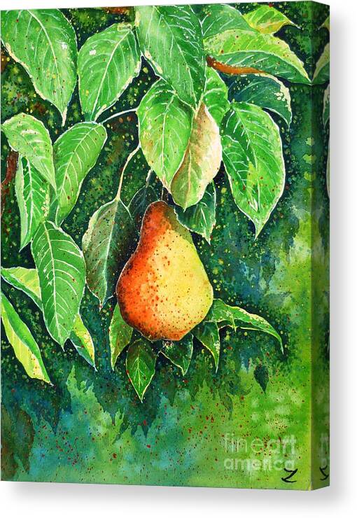 Pear Canvas Print featuring the painting Pear by Zaira Dzhaubaeva