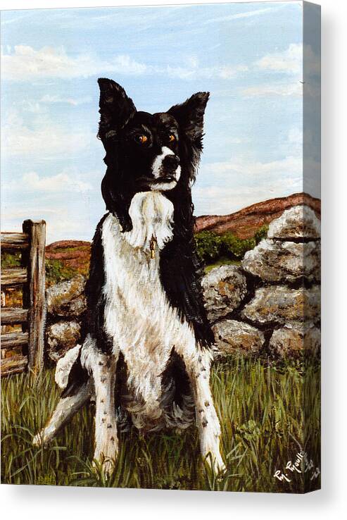 Penny Canvas Print featuring the painting Penny the Colly dog by Mackenzie Moulton