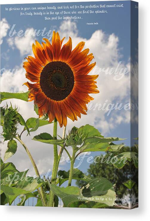 Perfection Canvas Print featuring the photograph Perfection in the Eye of the Beholder by Amanda Smith