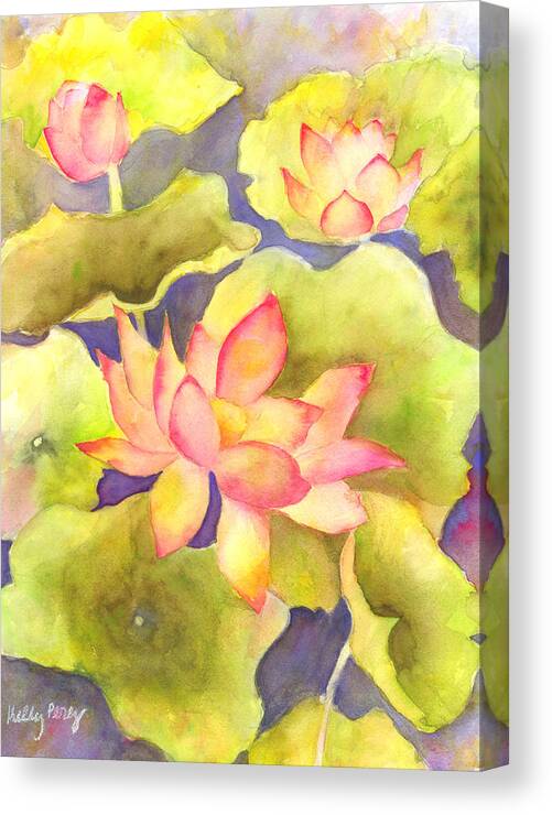 Watercolor Paintings Canvas Print featuring the painting Pink Lotus by Kelly Perez