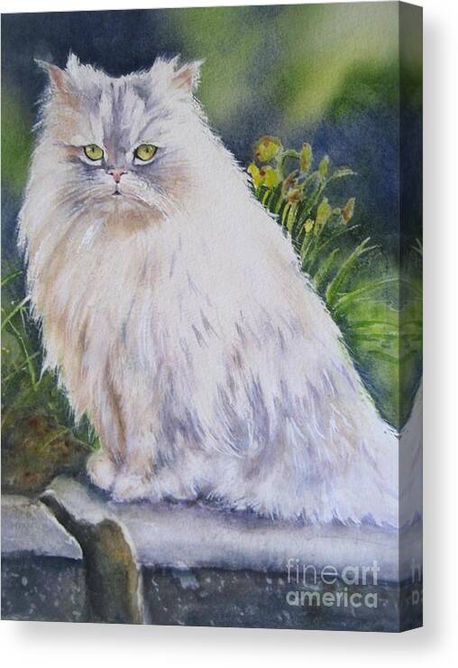 Pet Portrait Canvas Print featuring the painting Portrait Of White Cat by Patricia Pushaw