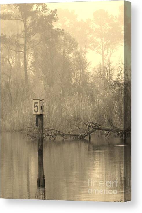 Shroud Canvas Print featuring the photograph Pride by John Glass