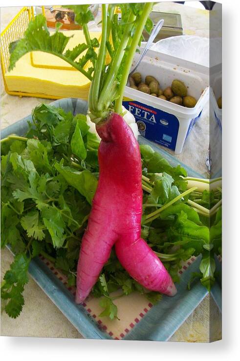 Vegetable Canvas Print featuring the photograph Radish Twin by Theano Exadaktylou