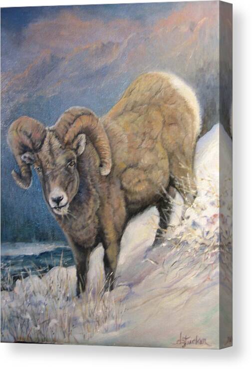 Nature Canvas Print featuring the painting Ram in the Snow by Donna Tucker