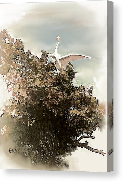 Crane Canvas Print featuring the photograph Reelfoot Lake White Crane by Bonnie Willis