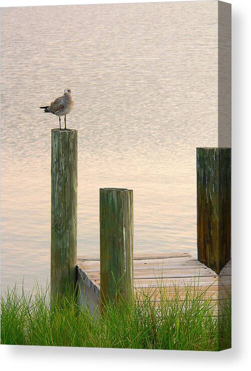 Bird Canvas Print featuring the photograph Seagull's Small Dock by Rosalie Scanlon