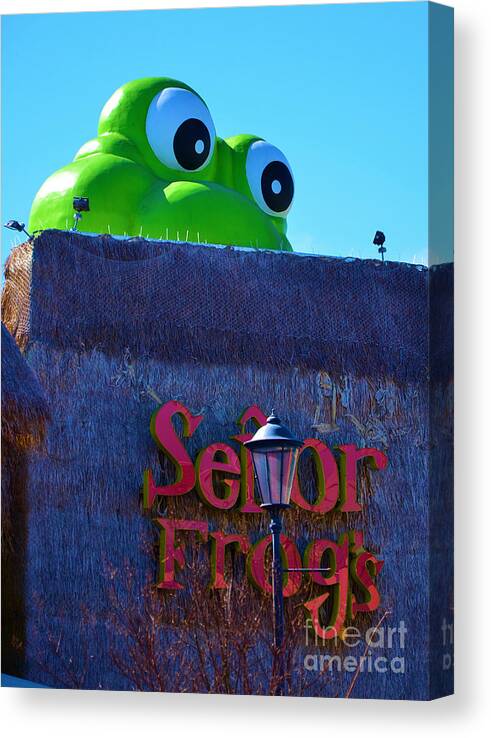 Yellow Canvas Print featuring the photograph Senor Frogs by Bob Sample