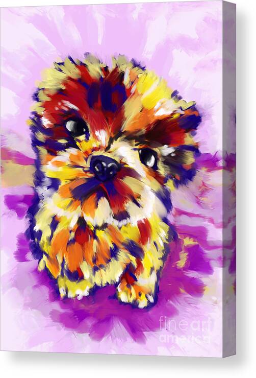 Shih Txu Puppy Canvas Print featuring the painting Shih Txu Puppy by Tim Gilliland