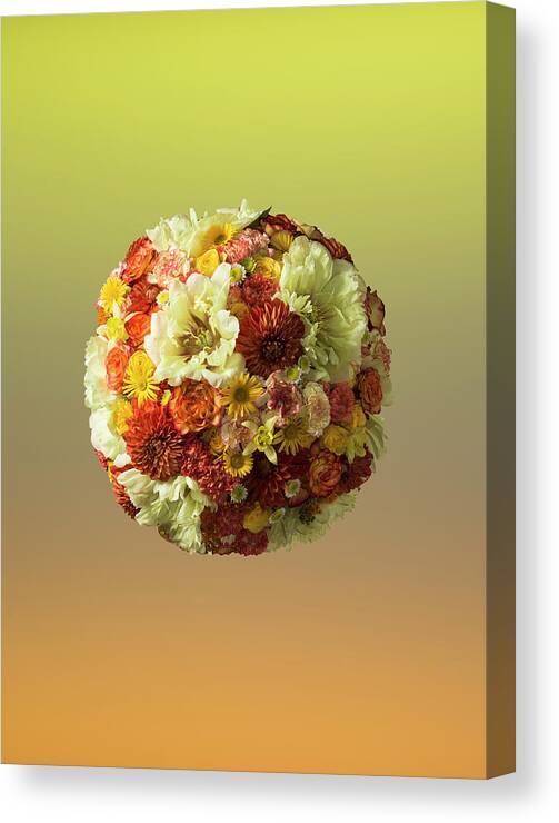 Tranquility Canvas Print featuring the photograph Sphere Shaped Floral Arrangement by Jonathan Knowles